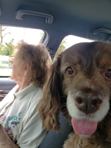 Fourth Line Animal Hospital image
