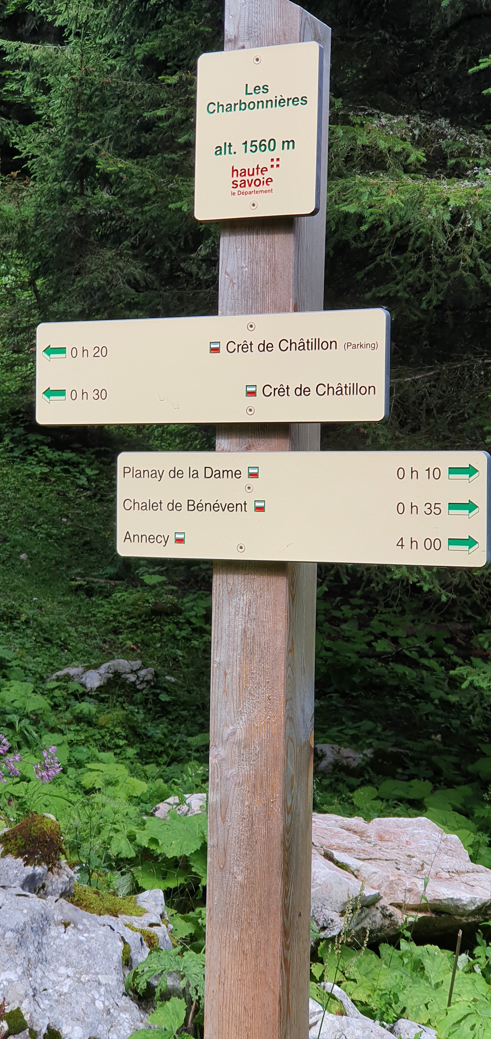 Photo n° 11 de l'avis de VANDA. fait le 07/08/2021 à 12:01