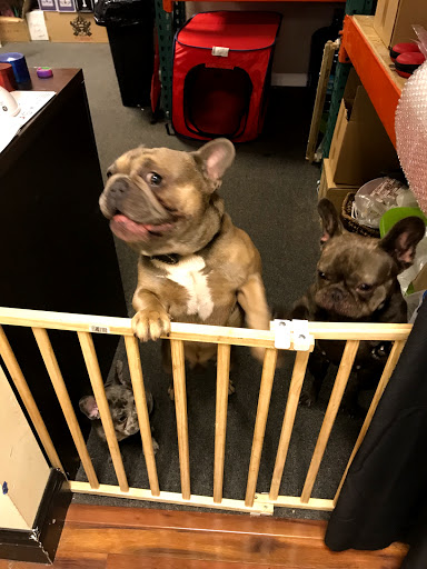 Tobacco Shop «Carbon Glass Tech Smoke Shop», reviews and photos, 5840 Stirling Rd, Hollywood, FL 33021, USA