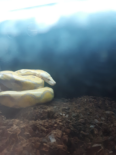 Pet Supply Store «Buckles Feed Depot & Pet Supply», reviews and photos, 220 S 4th St, Lafayette, IN 47901, USA