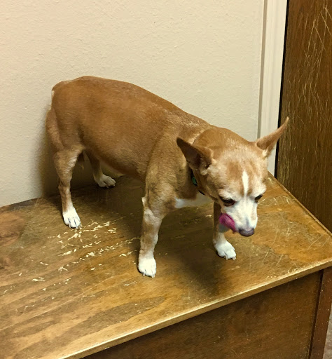 Pea Ridge Veterinary Clinic