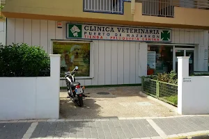 Puerto de Mazarrón Veterinary Clinic image