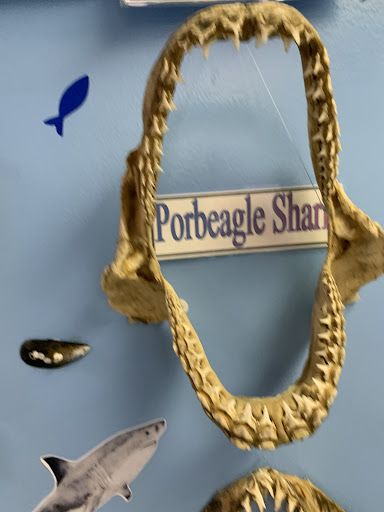 Aquarium «Explore the Ocean World, llc Oceanarium», reviews and photos, 367 Ocean Blvd, Hampton, NH 03842, USA