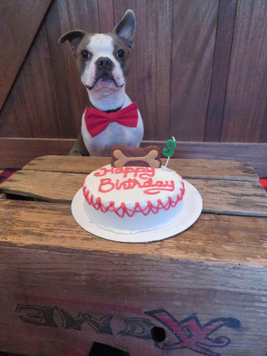 Pet Supply Store «Haute Dogs Boutique & Barkery», reviews and photos, 507 Georgia St, Vallejo, CA 94590, USA