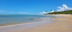 Photo de Praia do Moreira zone sauvage