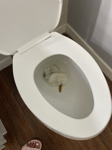 House Cleaning Service «Molly Maid of Greater Vancouver», reviews and photos, 2515 E Evergreen Blvd, Vancouver, WA 98661, USA