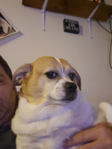 Pet Supply Store «Petco Animal Supplies», reviews and photos, 4450 Commercial St SE #150, Salem, OR 97301, USA