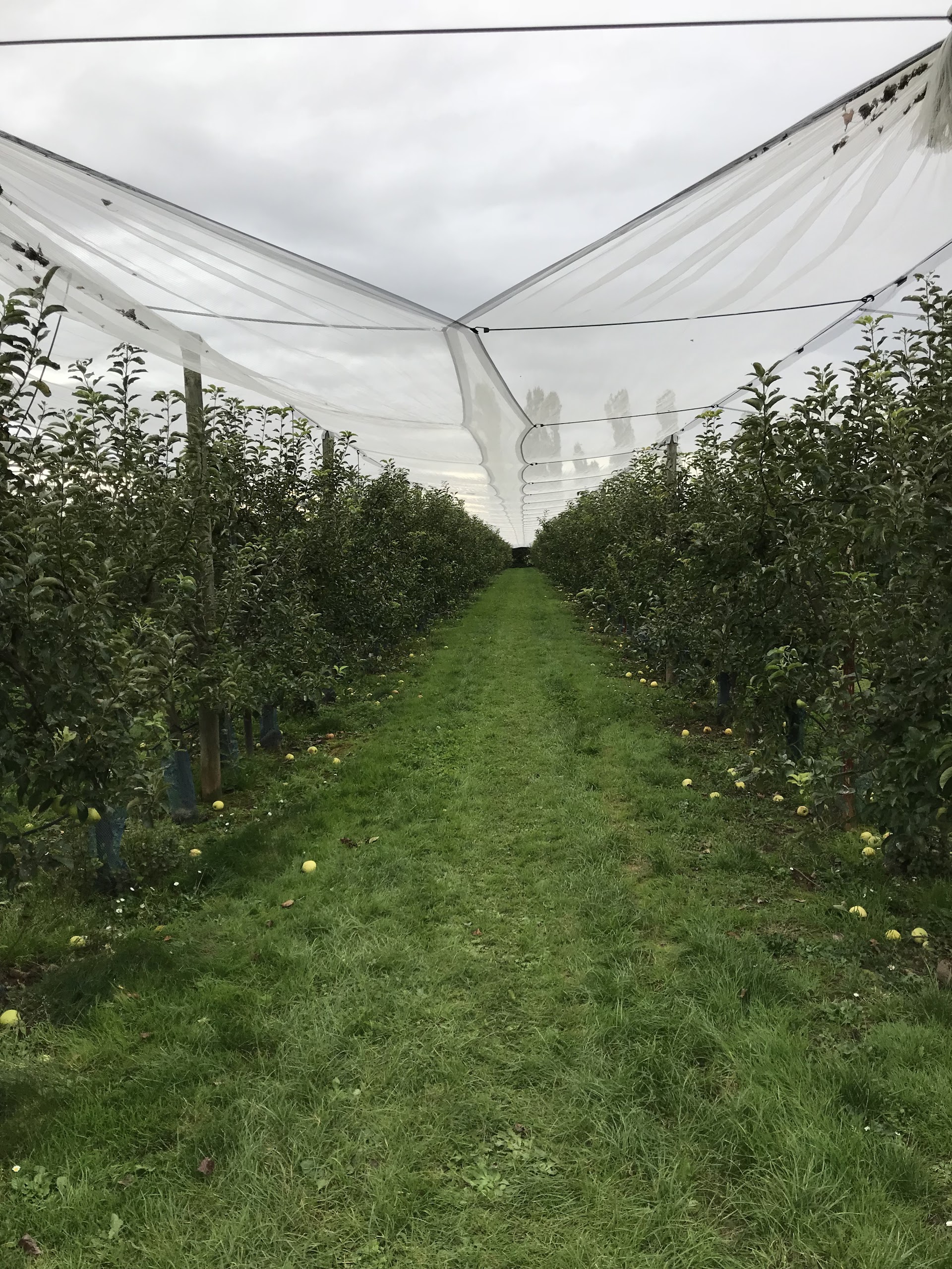 Photo n° 4 de l'avis de Thomas. fait le 07/10/2017 à 16:56