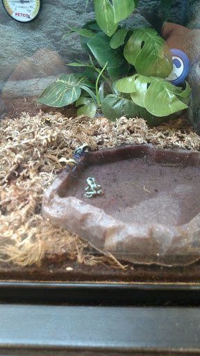 Pet Supply Store «Petco Animal Supplies», reviews and photos, 325 Paul Huff Parkway, Cleveland, TN 37312, USA