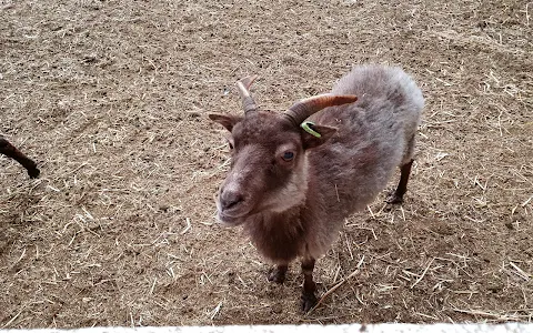 Croxteth Park Farm image