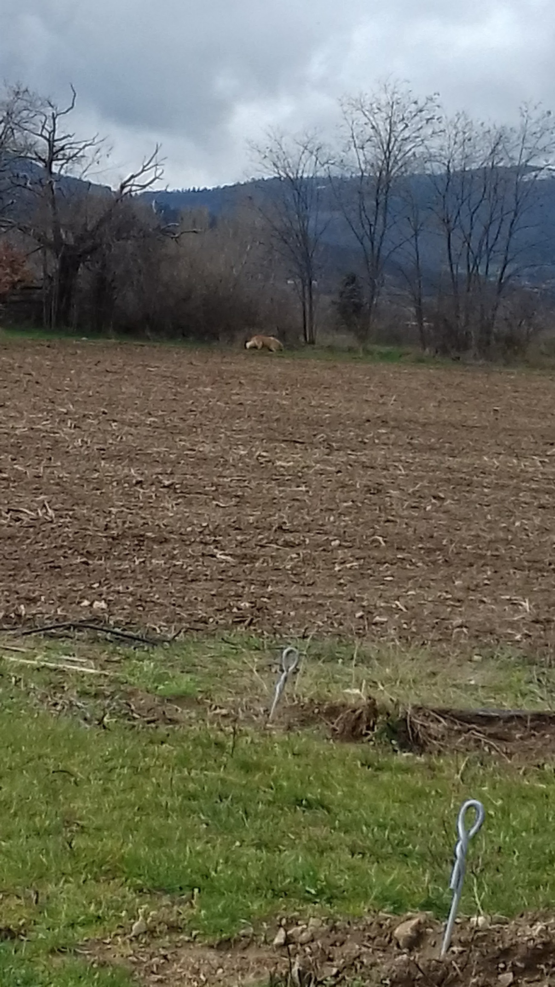 Photo n° 7 de l'avis de Mxtth.. fait le 25/03/2018 à 12:45