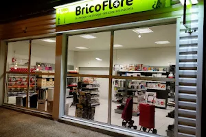 Bricoflore image