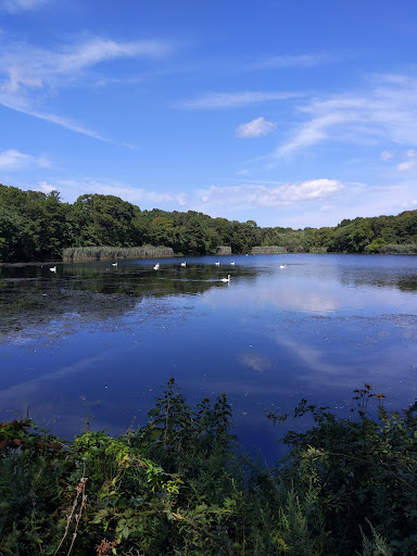 Park «Mansfield Park», reviews and photos, 85 Walker St, Massapequa Park, NY 11762, USA