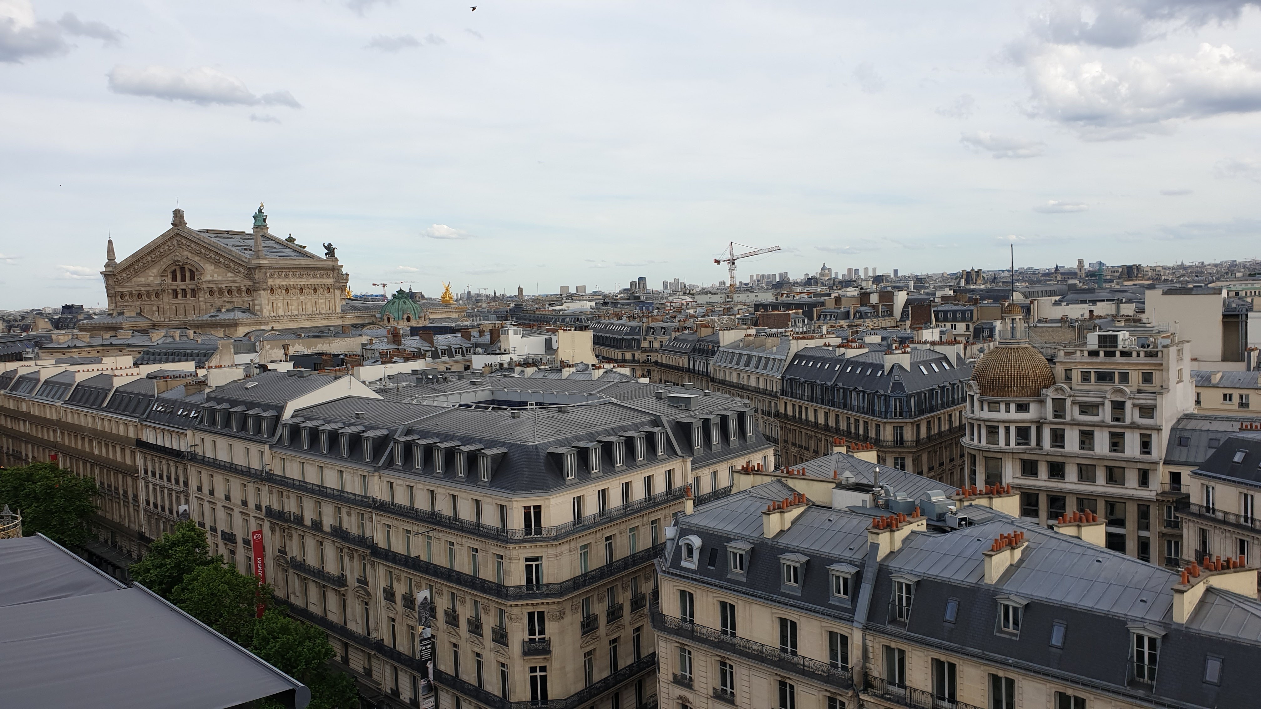 Photo n° 13 de l'avis de Marc.i fait le 18/06/2019 à 10:34