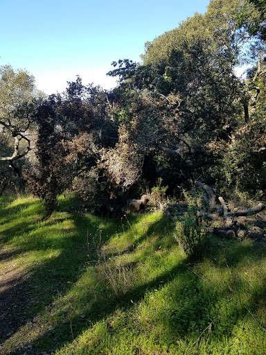 Nature Preserve «Sobrante Ridge Regional Preserve», reviews and photos, 5170 Coach Dr, Richmond, CA 94803, USA