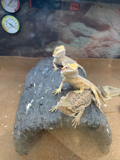 Pet Supply Store «Petco Animal Supplies», reviews and photos, 2204 Harlem Ave, North Riverside, IL 60546, USA