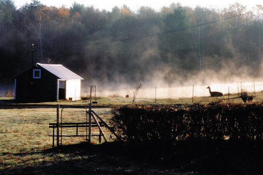 Farm «Dakota Ridge Farm», reviews and photos, 189 E High St, Ballston Spa, NY 12020, USA