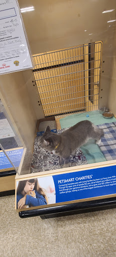 Pet Supply Store «PetSmart», reviews and photos, 150 Glynn Isle, Brunswick, GA 31525, USA