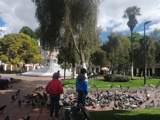 Opiniones de Ilustre Municipio de Riobamba en Riobamba - Arquitecto