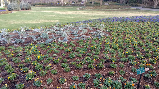 Park «Fort Worth Water Gardens», reviews and photos, 1502 Commerce St, Fort Worth, TX 76102, USA