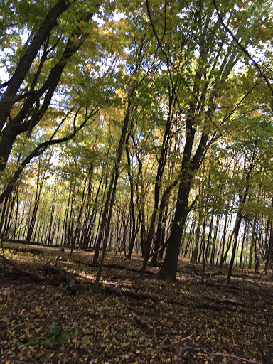 Park «Baker Park Reserve - Near-Wilderness Settlement», reviews and photos, 4001 County Rd 24, Maple Plain, MN 55359, USA