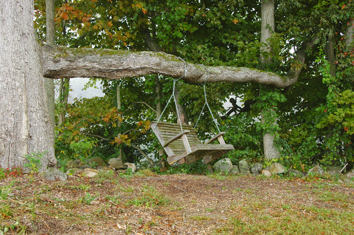 Winery «Priam Vineyards», reviews and photos, 11 Shailor Hill Rd, Colchester, CT 06415, USA