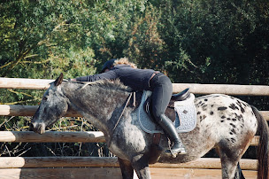 Photo n°14 de Camille Percher - Monitrice Indépendante à Garchizy ()