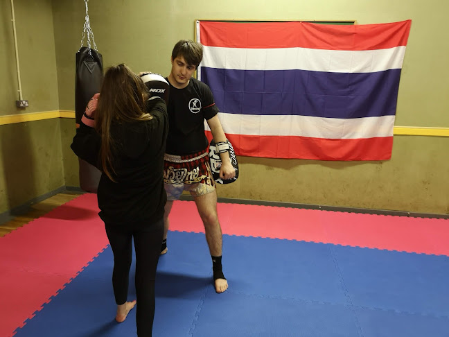 Comments and reviews of T1 Muay Thai