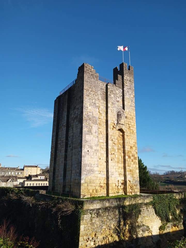 Photo n° 2 de l'avis de Luciana.e fait le 12/08/2020 à 22:42