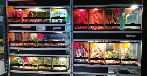 Pet Store «Petland», reviews and photos, 1514 Stonecreek Dr, Pickerington, OH 43147, USA