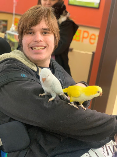 Pet Store «Petland», reviews and photos, 920 Hebron Rd, Heath, OH 43056, USA