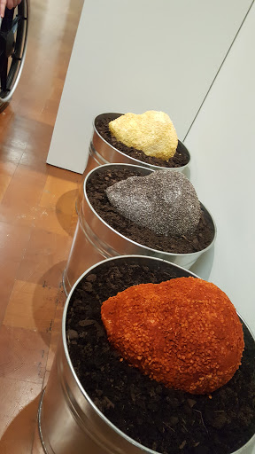 Art Museum «University of Kentucky Art Museum», reviews and photos, 405 Rose St, Lexington, KY 40508, USA