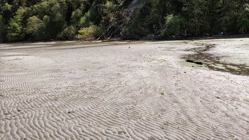 State Park «Dash Point State Park», reviews and photos, 5700 SW Dash Point Rd, Federal Way, WA 98023, USA