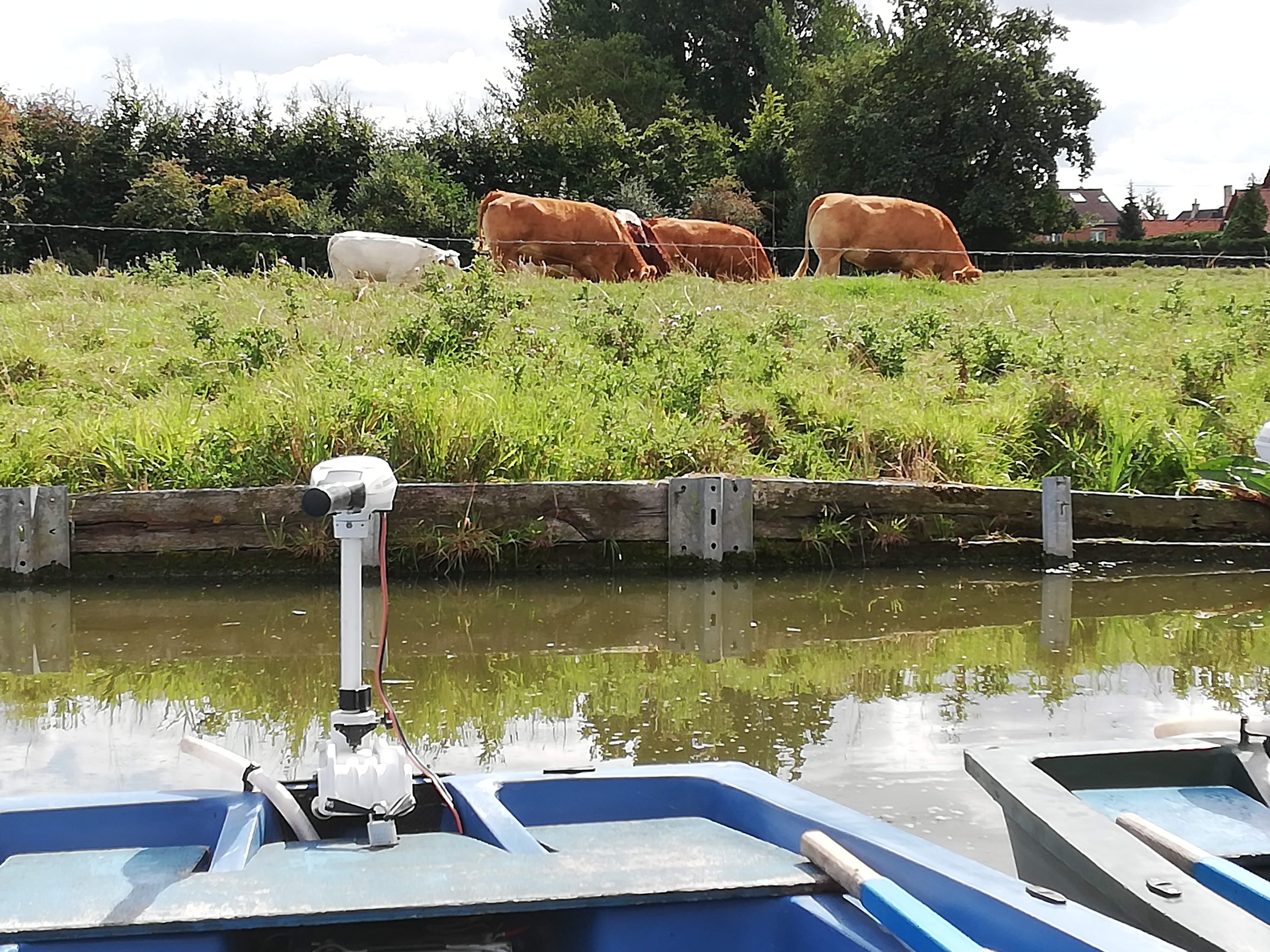 Photo n° 1 de l'avis de Lena.i fait le 30/08/2018 à 18:31