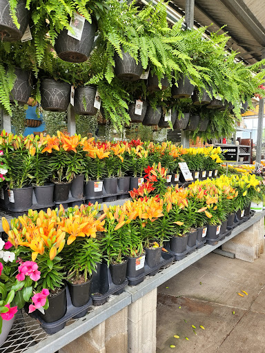 Home Improvement Store «The Home Depot», reviews and photos, 2461 N Richmond Rd, McHenry, IL 60051, USA