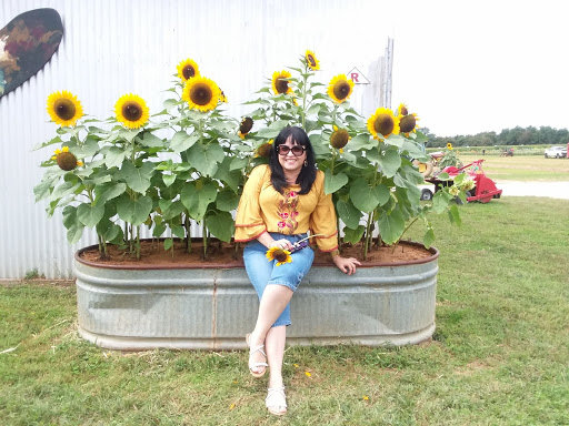 Tourist Attraction «Sussex County Sunflower Maze», reviews and photos, 101 Co Rd 645, Sandyston, NJ 07826, USA