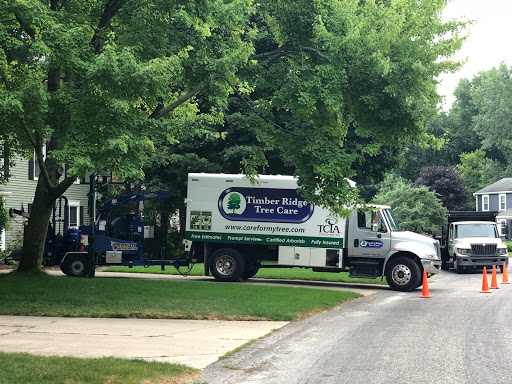 Tree service Grand Rapids