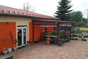 Záhradné centrum Breza image