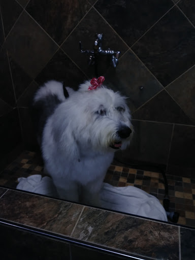 Pet Store «Pet Valu», reviews and photos, 99 E Main Rd, Middletown, RI 02852, USA