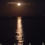 Photo n°1 de l'avis de Barbara.e fait le 21/06/2019 à 20:12 sur le  Iguana Beach à Pietra Ligure