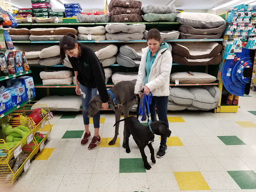 Pet Supply Store «Pet Supplies Plus», reviews and photos, 3100 Manchester Rd, Akron, OH 44319, USA