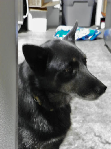 Winery «Best Vineyards», reviews and photos, 8373 Morgans Ln SE, Elizabeth, IN 47117, USA