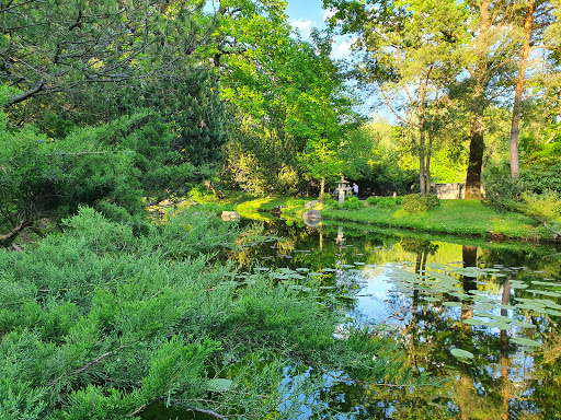 Japanese Garden