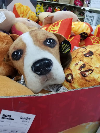 Discount Store «Kmart», reviews and photos, 1209 Russ Ave, Waynesville, NC 28786, USA