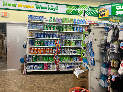 Dollar Store «Dollar Tree», reviews and photos, 8491 Grand River Ave, Brighton, MI 48116, USA