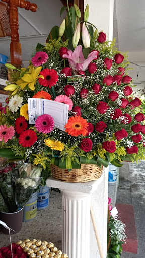 FLORES MARTHA – Poza Rica