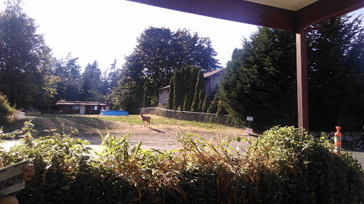 Grocery Store «Southworth Grocery», reviews and photos, 3985 Cherry St SE, Port Orchard, WA 98366, USA