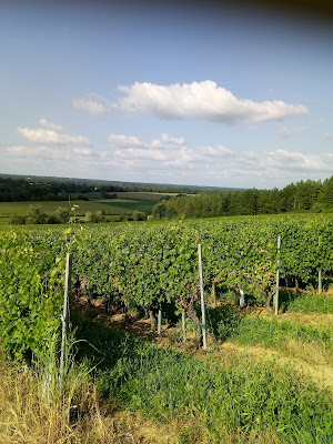 FERME LARREY, Eric FORSANX à Nerbis
