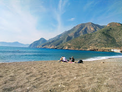 Playa de la Morena'in fotoğrafı imkanlar alanı