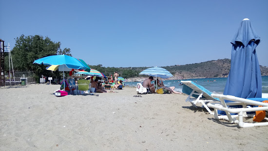 Straws beach
